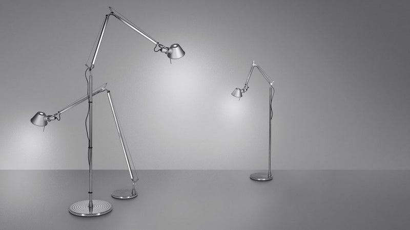 Tolomeo - Álló